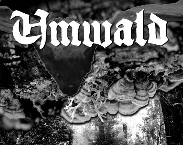 Cover image for Umwald