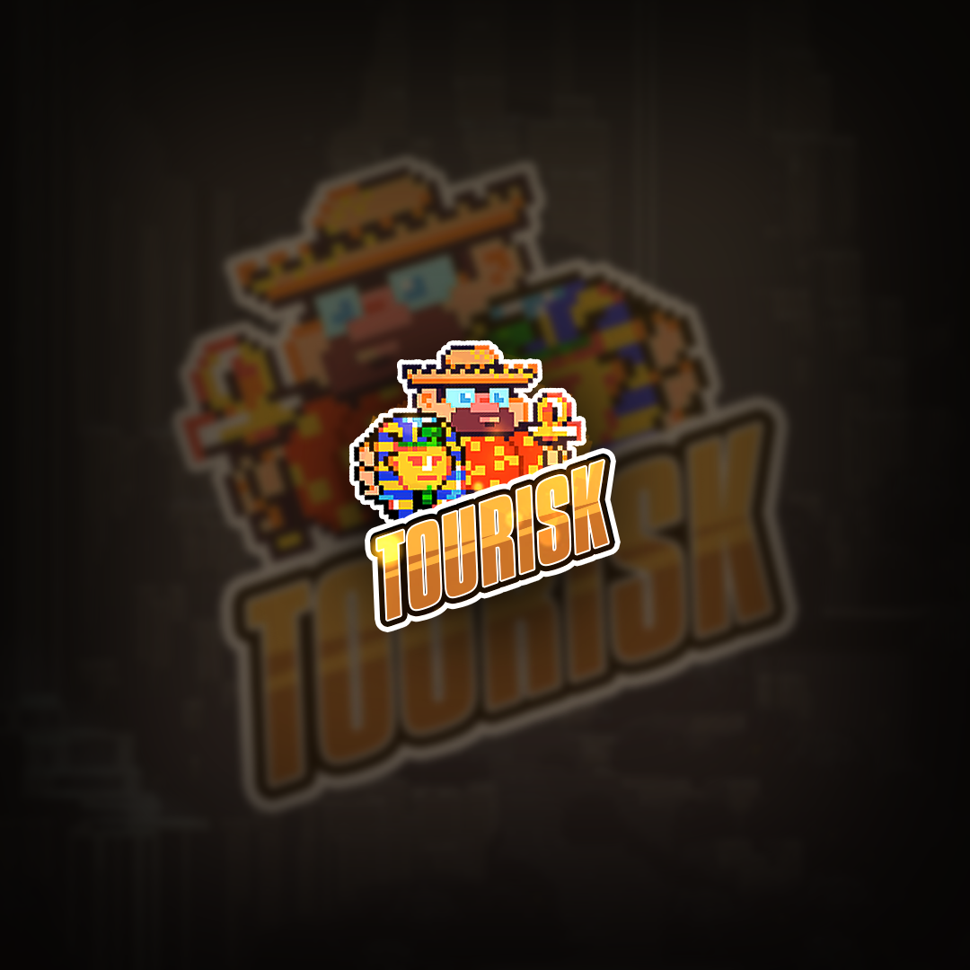 Cover image for TOURISK