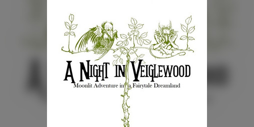Cover image for A Night in Veiglewood