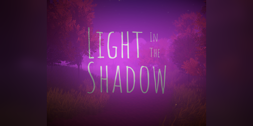 Cover image for Light in the Shadow