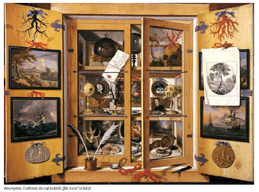Cover image for Cabinet de curiosités