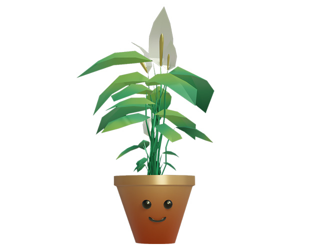 Cover image for Weather plant teste mecânica