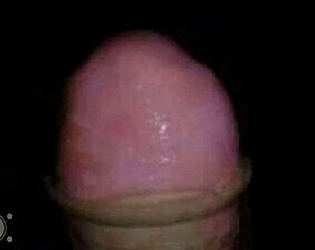 Guess the picture