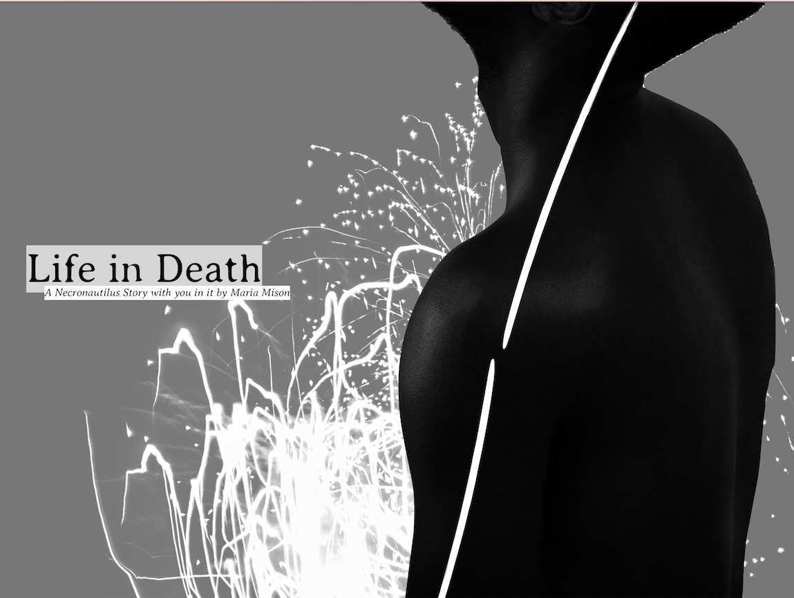 Cover image for Life in Death