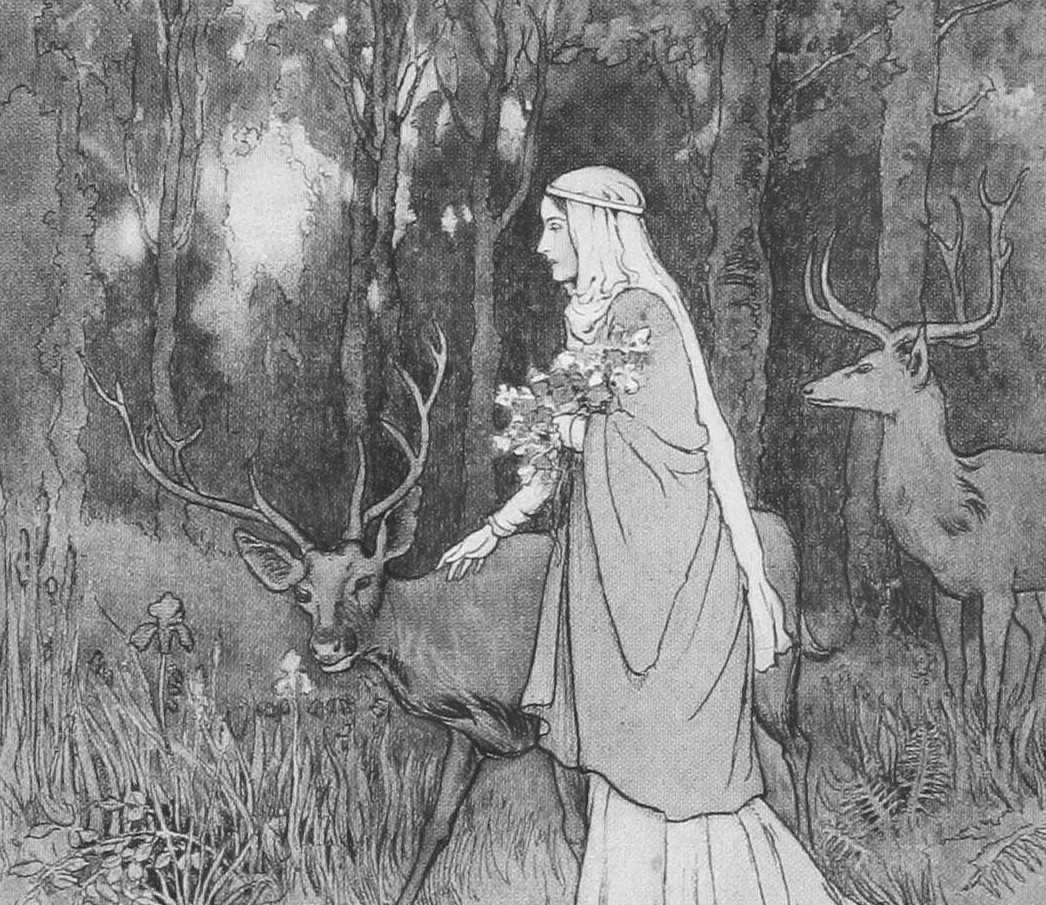 Cover image for A Woodland Path