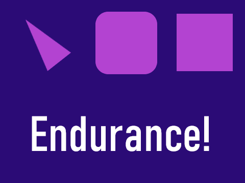 Cover image for Endurance