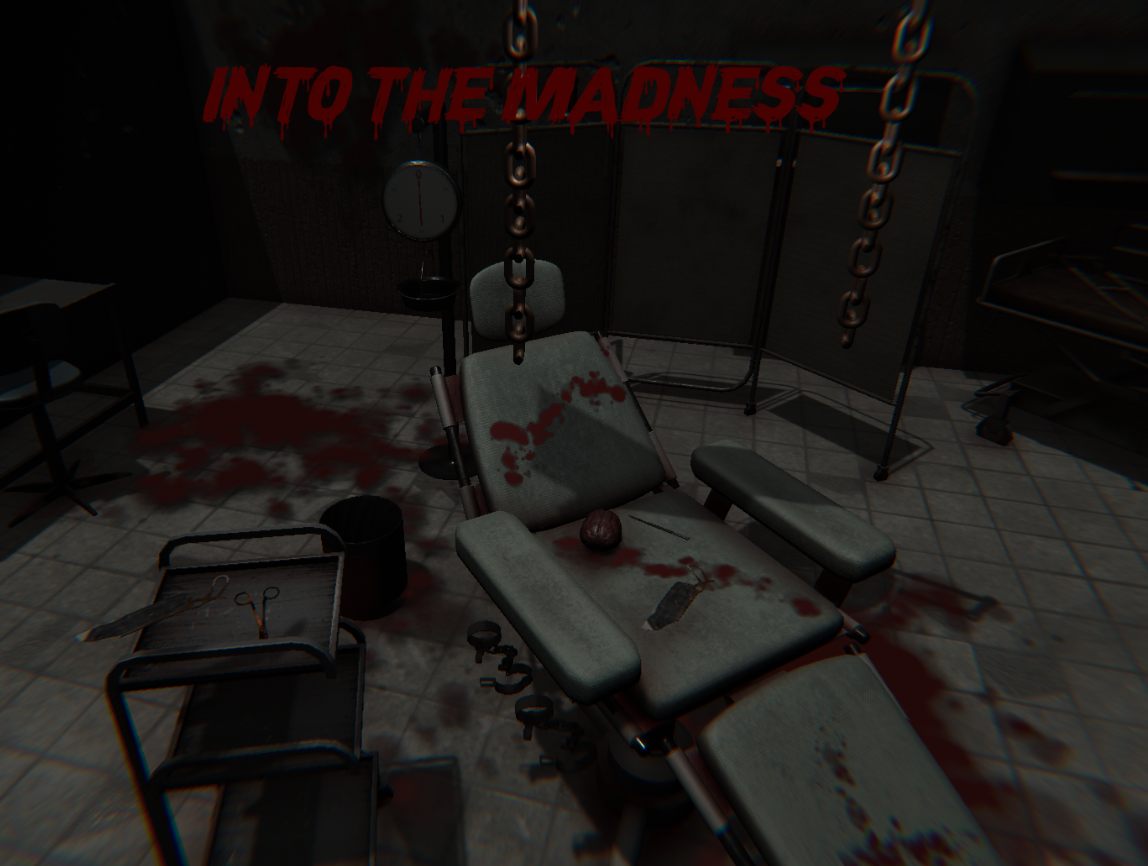Into the Madness cover