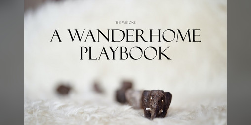 Cover image for The Wee One - A Wanderhome Playbook
