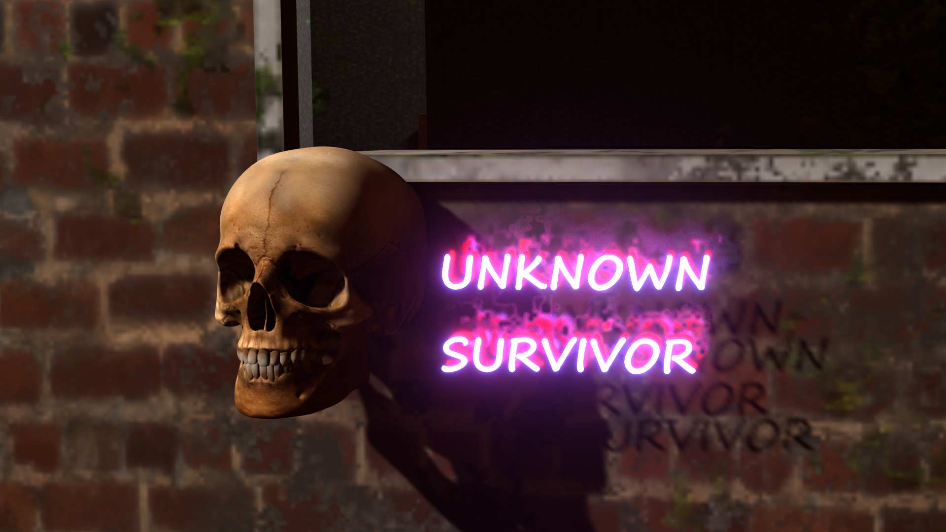 The unknown survivor cover
