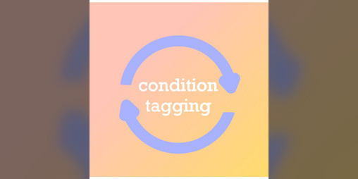 Cover image for Condition Tagging
