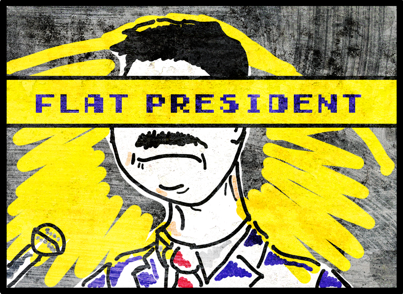 Cover image for Flat President