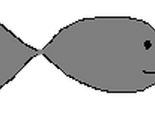 Rok Bottom
