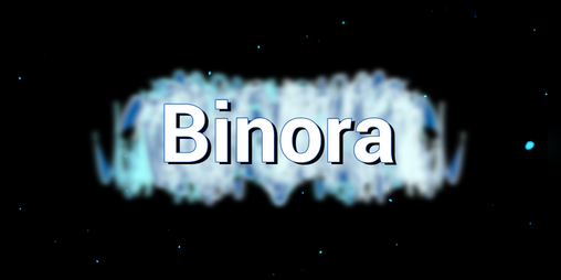 Cover image for Binora