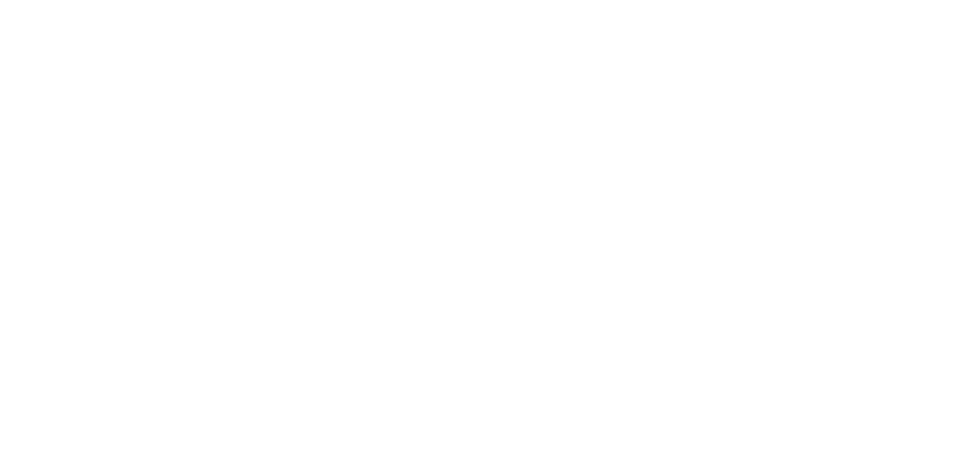 Follow My Voice