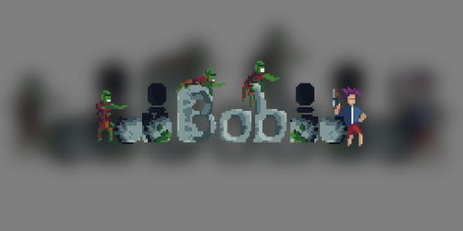 Cover image for The Bob
