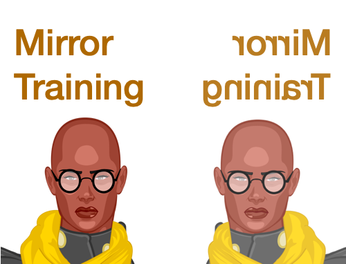 Mirror Training Room