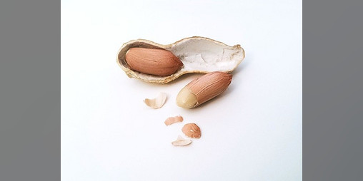 Cover image for Gonna Make You Nut