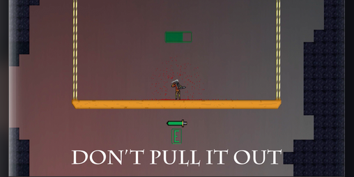 Cover image for Don't Pull It Out