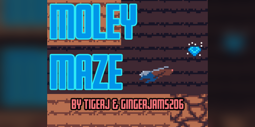 Cover image for Moley Maze