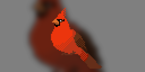 Cover image for birb