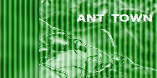 Cover image for Ant Town