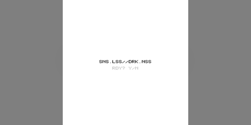 Cover image for SNS.LSS//DRK.NSS