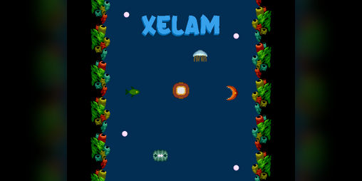 Cover image for Xelam