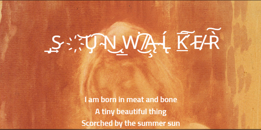 Cover image for Sunwalker
