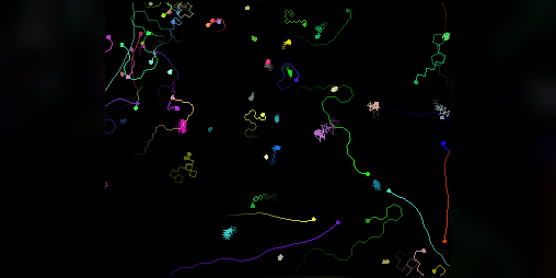 Cover image for petri