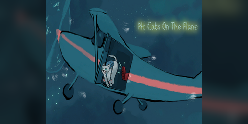 Cover image for No Cats on the Plane