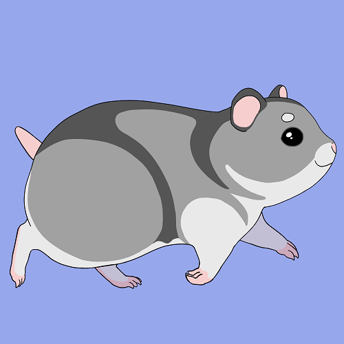 Cover image for Homeless Hamster