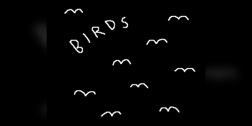 Cover image for birds