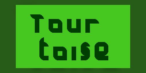 Cover image for Tourtoise