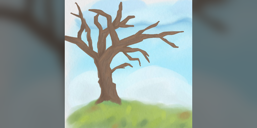 Cover image for Spring's Hope