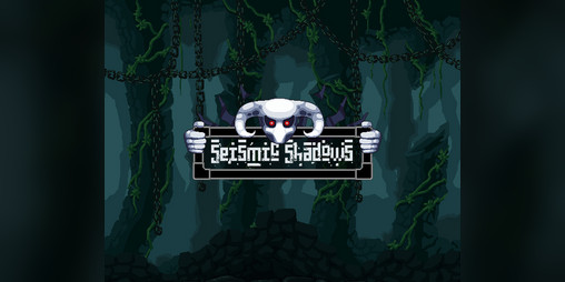 Cover image for Seismic Shadows