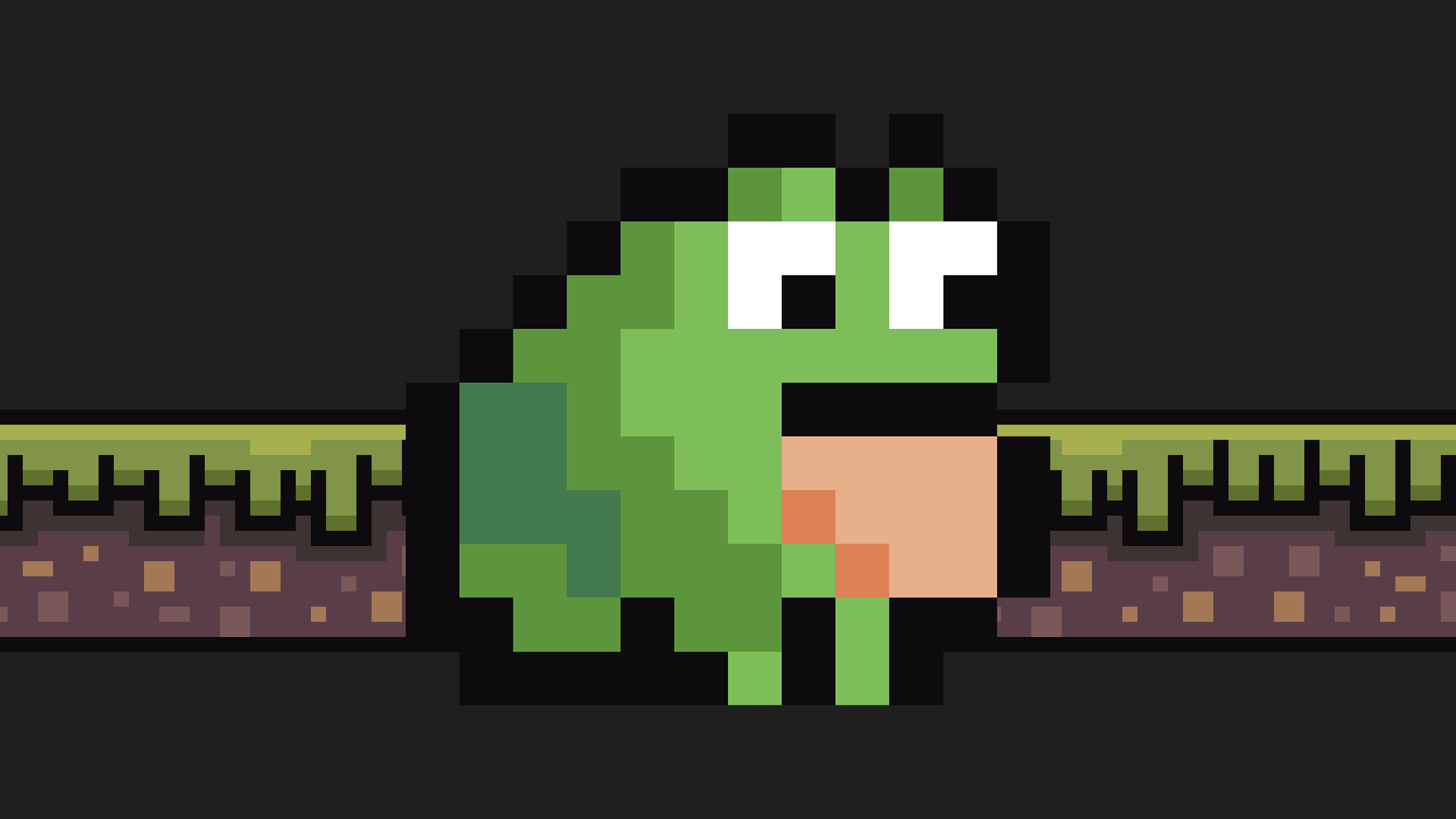 Cover image for John the Frog