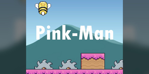 Cover image for PinkMan Adventure