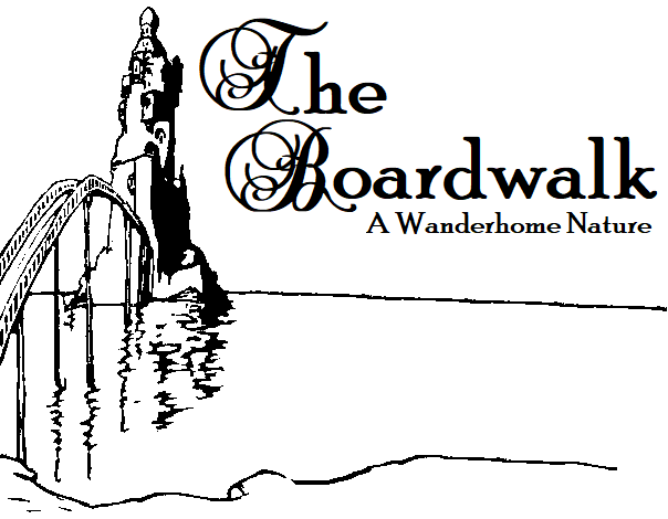 Cover image for The Boardwalk: A Wanderhome Nature