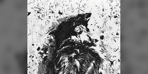 Cover image for Wizard's Vengeance (OSE & LotFP)