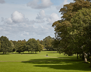 The Park