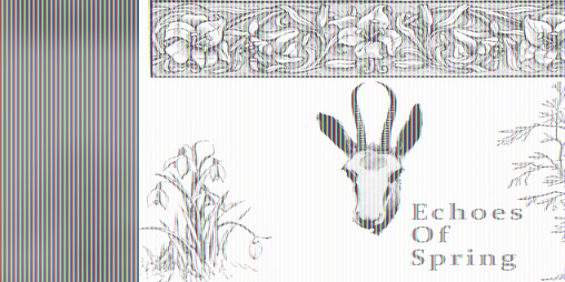 Cover image for Echoes Of Spring
