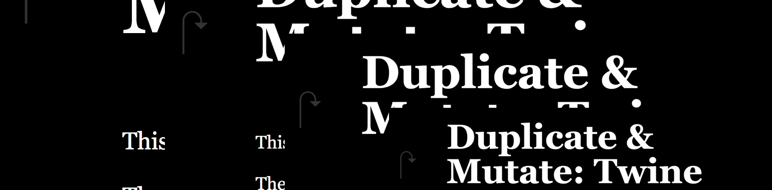 Duplicate & Mutate: Twine (2021)