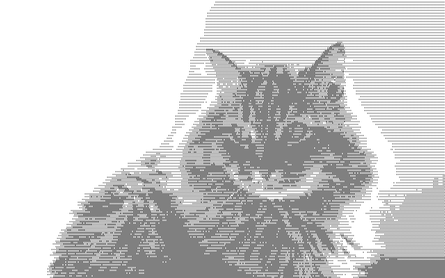 image of a gray striped furry cat to amstrad cpc format