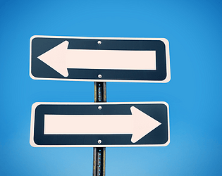 The Dual-Minded Trip