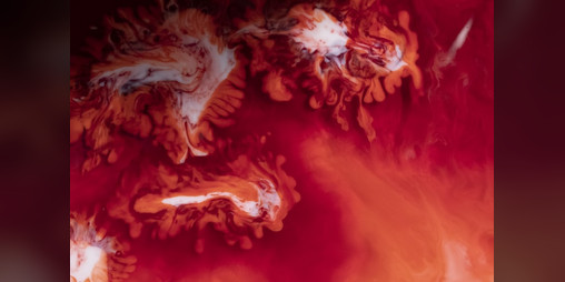 Cover image for Blood And Orbeez