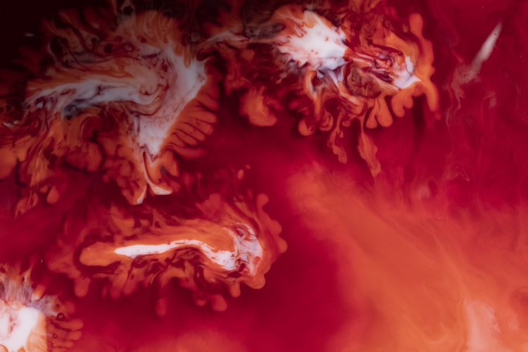 Cover image for Blood And Orbeez