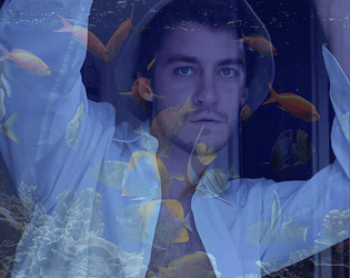 Welcome to the Aquarium