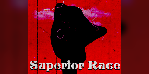 Cover image for Superior Race
