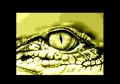 Crocodile amstrad cpc