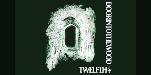 Cover image for Door Into The Wood